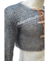 Titanium Chain Mail Half Shirt 3 Buckle image 6