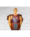Chainmail Leather Armour image 1