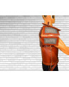 Chainmail Leather Armour image 2