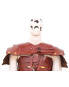Leather Lorica Segmentata image 1