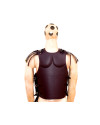 Muscle Breastplate image 1