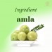Khadi Natural Organic Amla (Indian Gooseberry) Powder 150 gm Ayurvedic Hair Care
