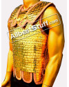 Medieval Roman Lorica Squamata Scale Armor image 1