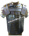 Roman Lorica Segmentata Armor Breastplate Costume Brass Lined Segmenta image 4